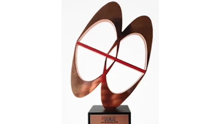 IAMAI Silver Award for Ask Nestle